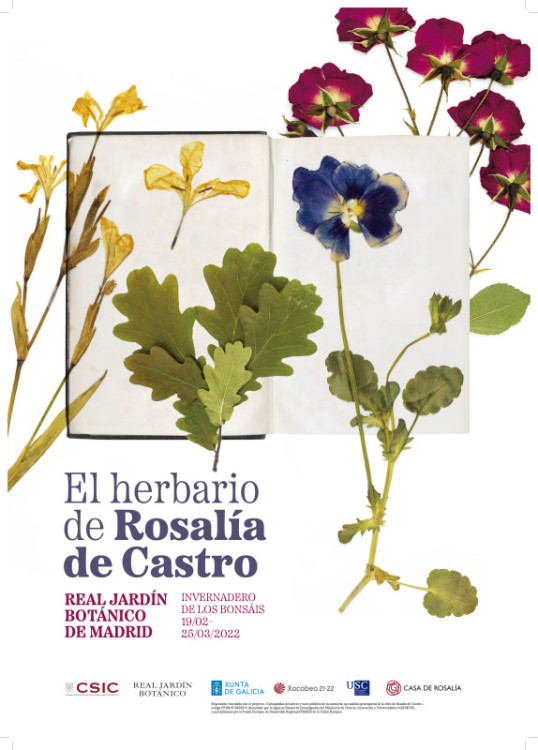 O herbario de Rosalía de Castro no Real Jardín Botánico de Madrid (19 febreiro - 25 marzo 2022)